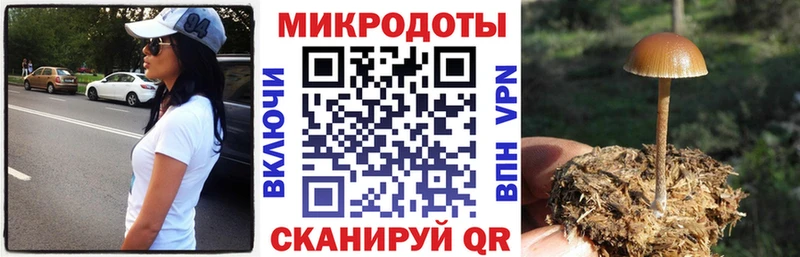 магазин  наркотиков  Певек  Галлюциногенные грибы MAGIC MUSHROOMS 